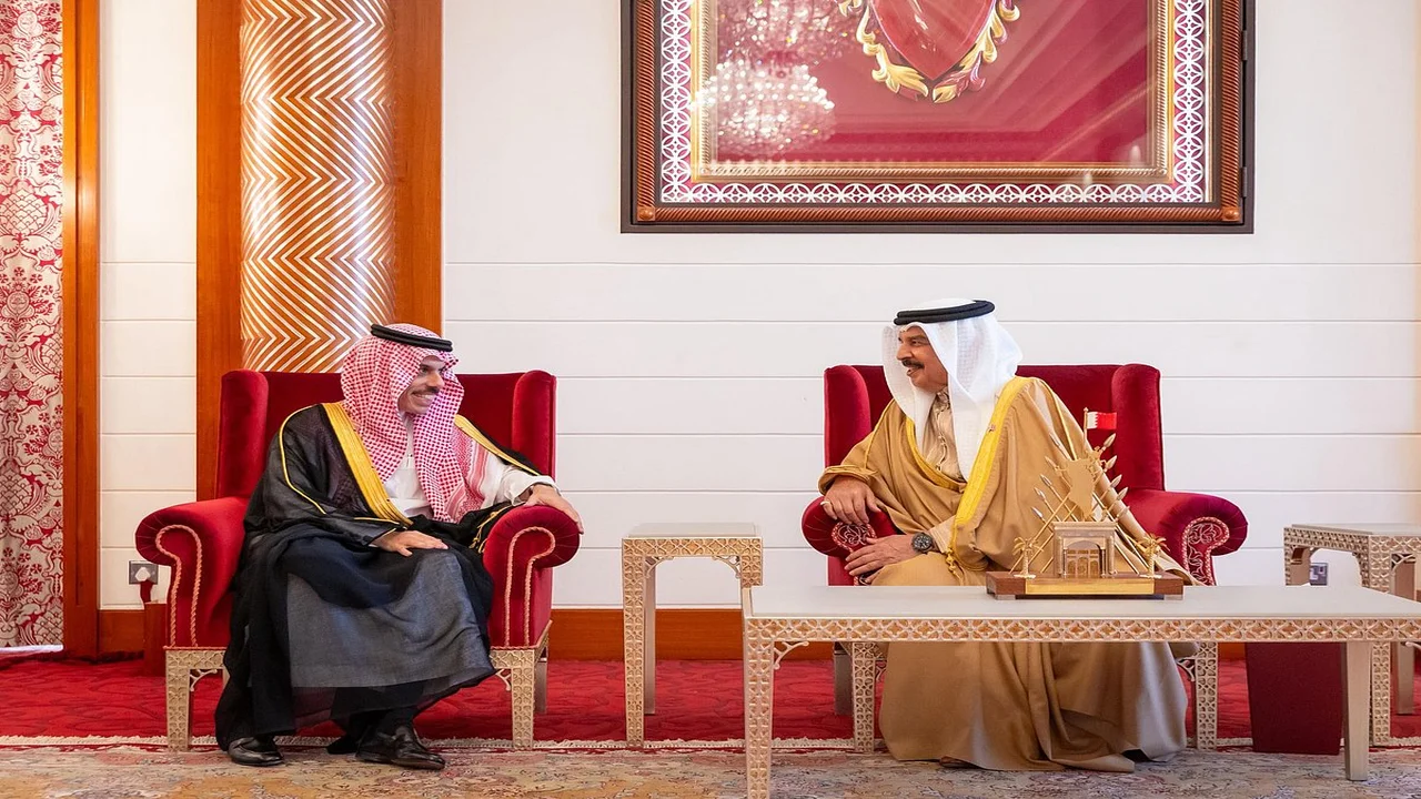 تعزيز العلاقات بين مصر والبحرين محور لقاء وزير الخارجية مع الملك حمد